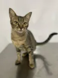 Zoe