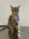 Zoe
