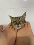 Zoe
