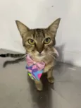 Zoe