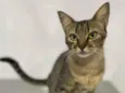 Zoe