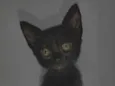 Mavis