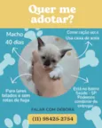 Sem nome