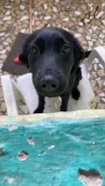 Luna Neguinha