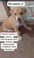 FILHOTE