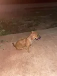 Mia