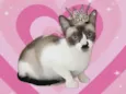 Amanda bb9meses
