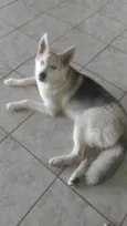 Bjorn