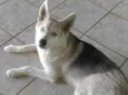 Bjorn