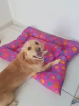 Nala