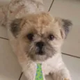 Júnior