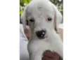 Polar