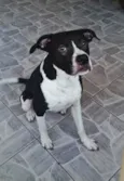 Espaike