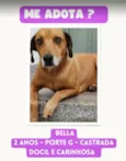 Bella