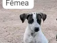Sem nome 2