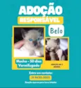 BELO