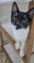 TALITA