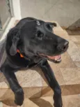 Meg