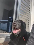 Meg