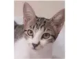 MAÍSA