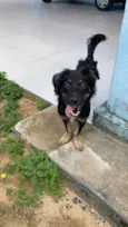 Rodolfo