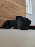 Ted