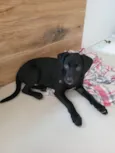 Ted