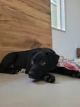 Ted