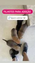 sem nomes