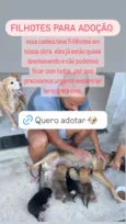 sem nomes