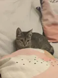 Oliver