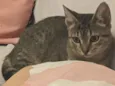 Oliver