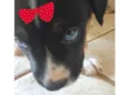Tina