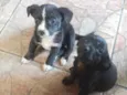 Mel e lara