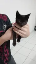 Mima