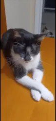 Ayka