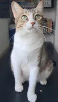 Ramona