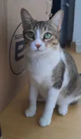 Ramona