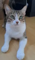 Ramona