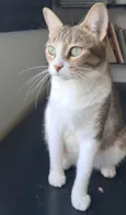 Ramona