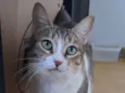 Ramona