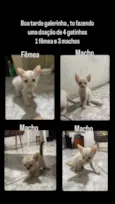 Não tem nome