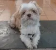 Nick