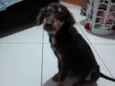 Sem nome