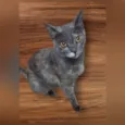 KEKA