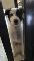 Billy