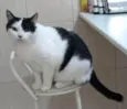 Lui