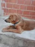 Bob