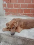 Bob