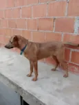 Bob